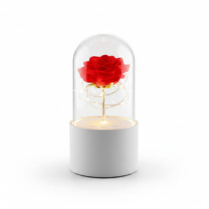 Rose LED night light with Bluetooth speaker on white studio background